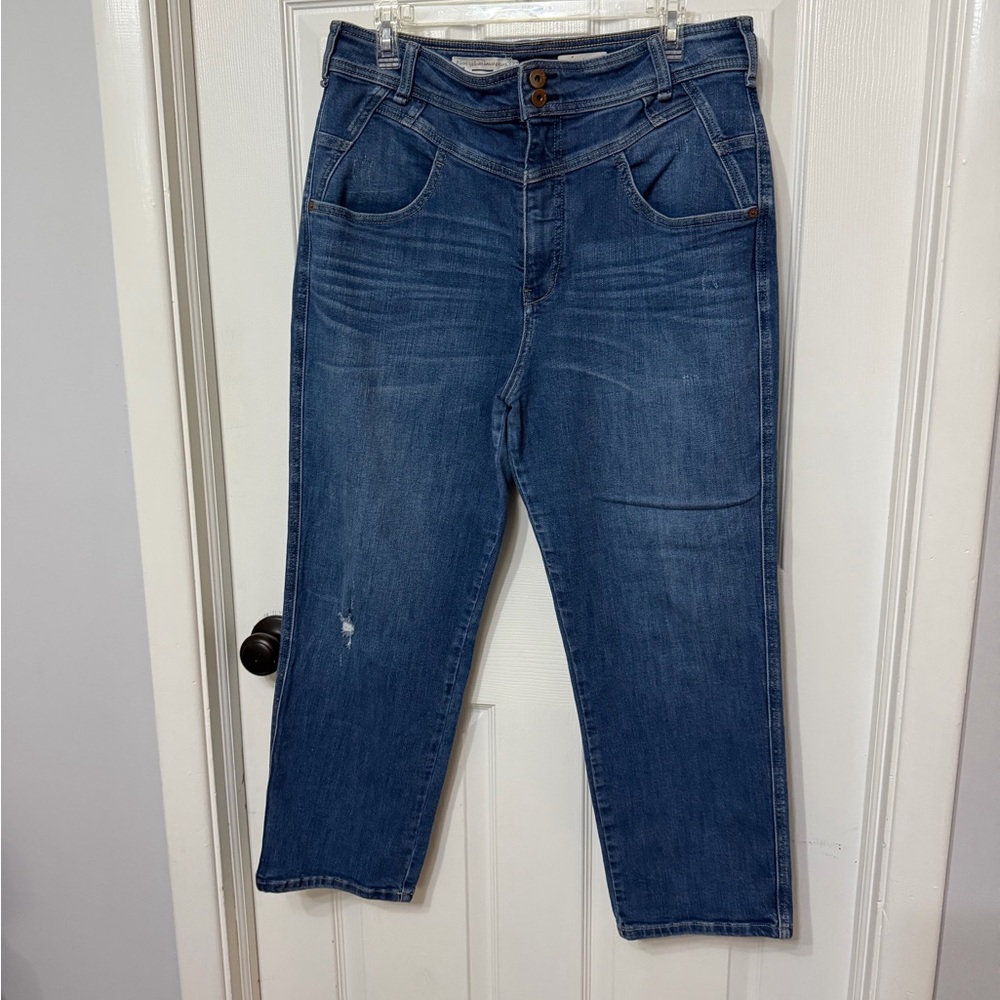 Pilcro x Anthropologie relaxed fit high rise straight jeans size 33